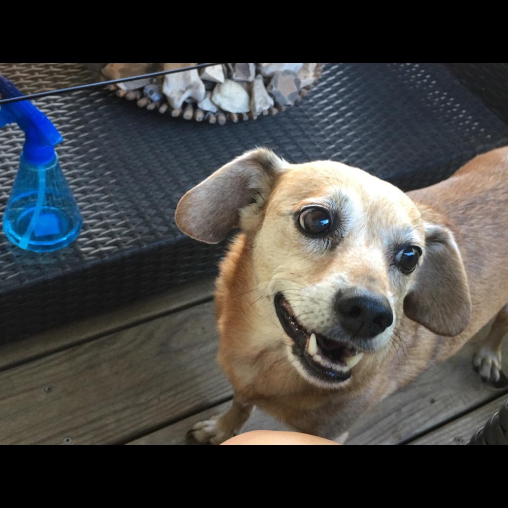 Meet your Posher, Karla j